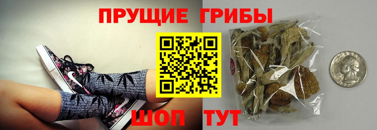 Псилоцибиновые грибы мухоморы  Псилоцибиновые грибы MAGIC MUSHROOMS  Вход с VPN  Курган 